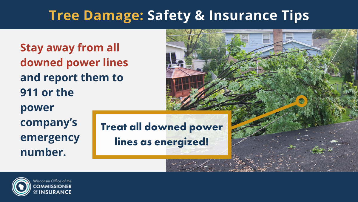 Tree Damage: Safety and Insurance Tips