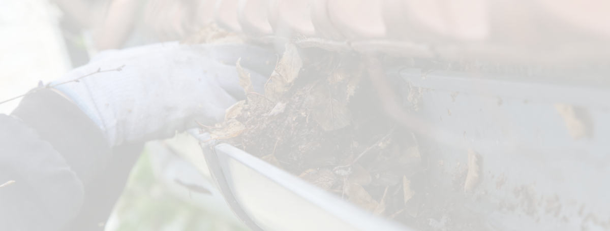 Get Disaster-Ready background image showing gutters being cleaned